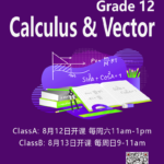 G12Calculus Vector